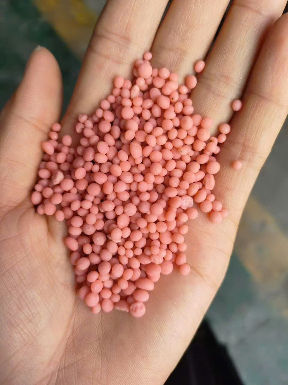 Phân bón NPK 16-16-8